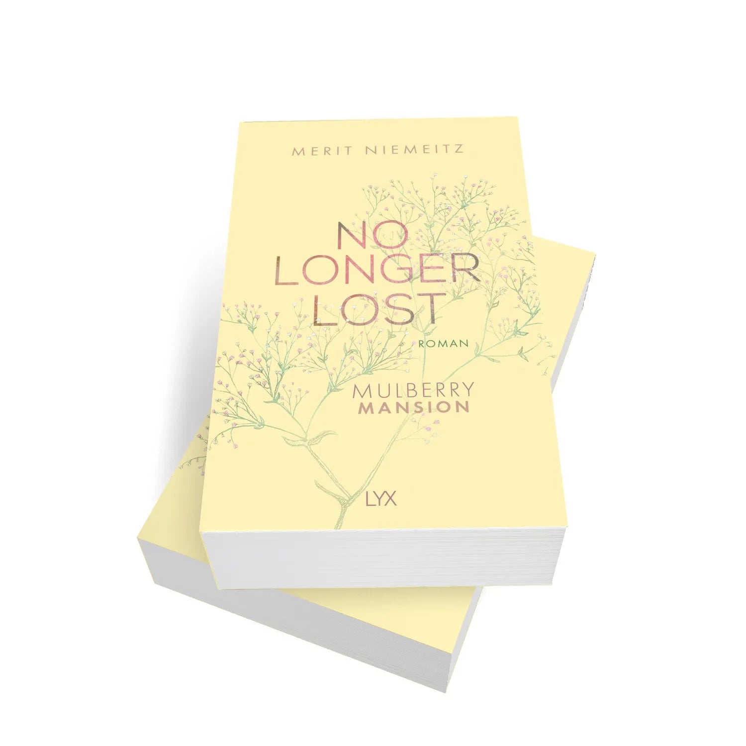 Produktansicht: No Longer Lost - Mulberry Mansion (Paperback)