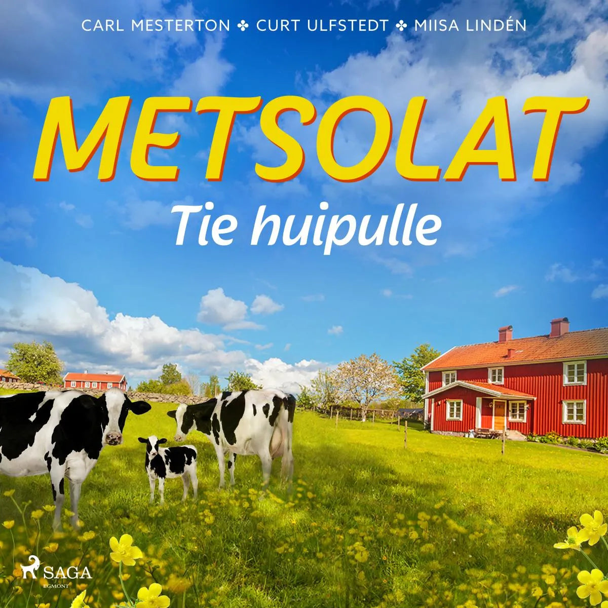 Cover: Metsolat - Tie huipulle (Hörbuch Download) von Carl Mesterton