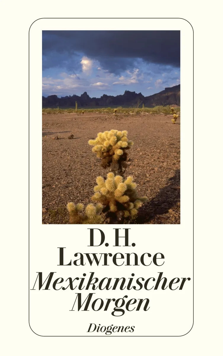 Buchcover von 'Mexikanischer Morgen' - Taschenbuch von D.H. Lawrence