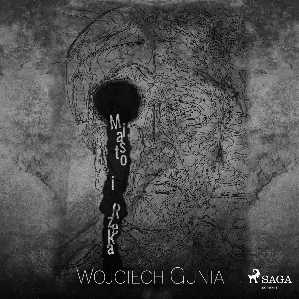 Cover: Miasto i rzeka (Hörbuch Download) von Wojciech Gunia