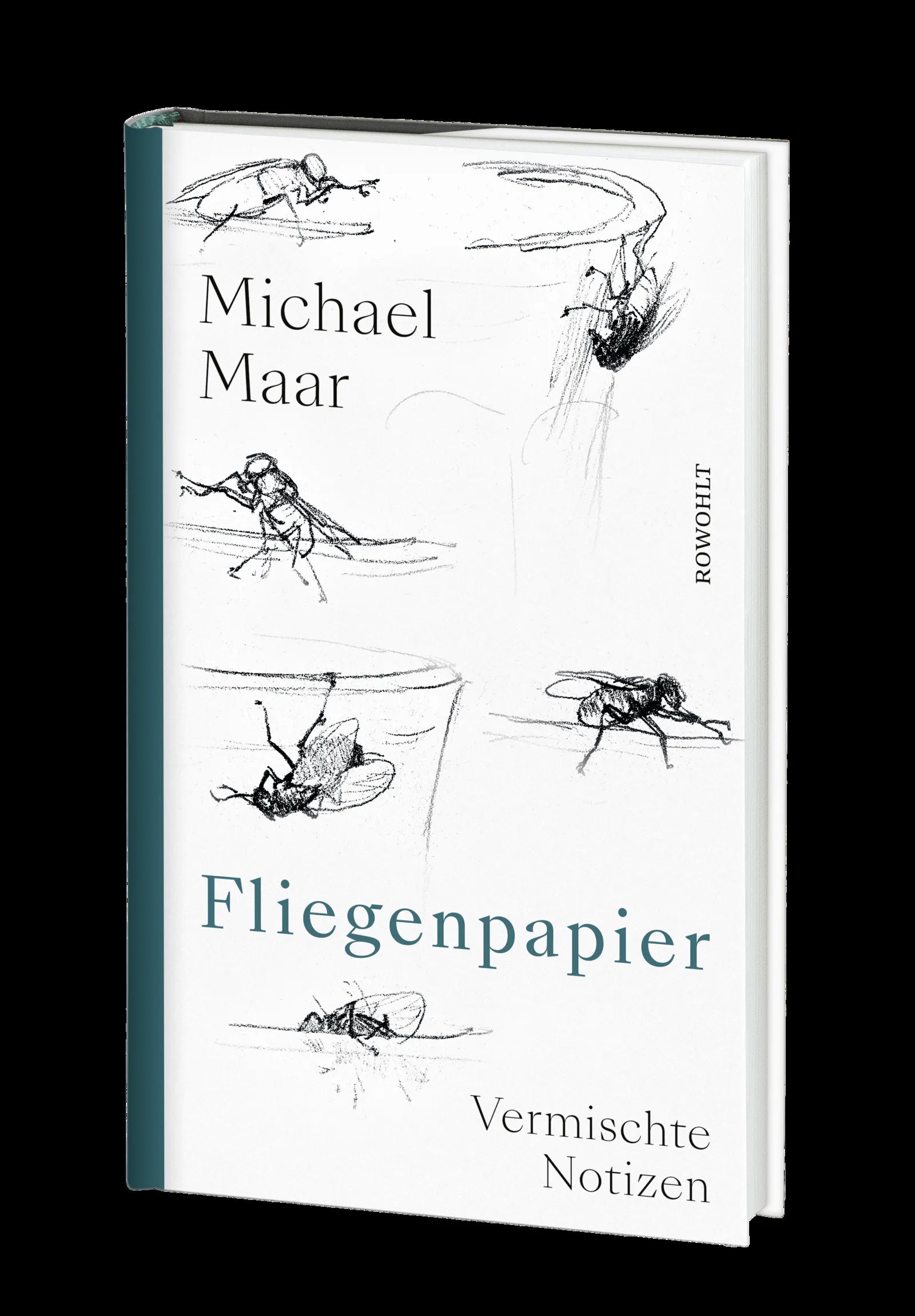 Produktansicht: Fliegenpapier (Gebundene Ausgabe)
