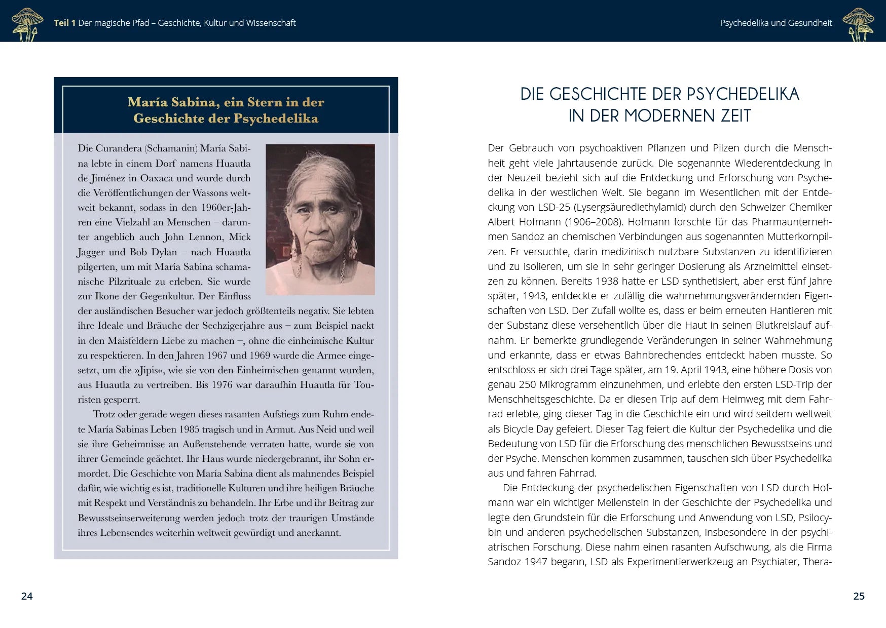 Innenansicht von 'Microdosing mit Psilocybin' - Taschenbuch