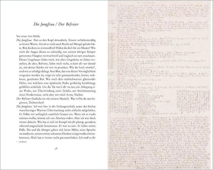 Robert Walser - Mikrogramme
