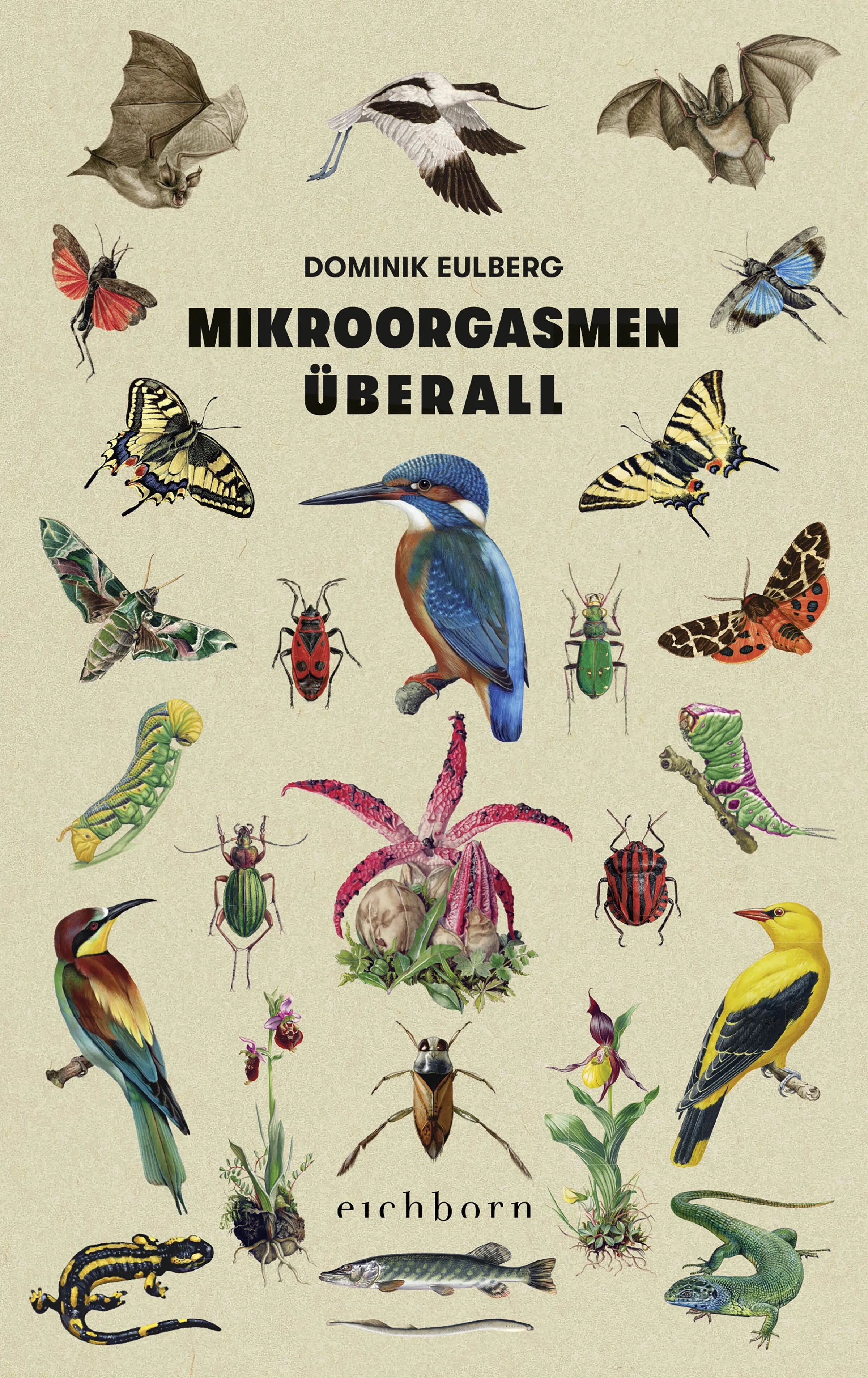 Buchcover von 'Mikroorgasmen überall' - Gebundene Ausgabe von Dominik Eulberg
