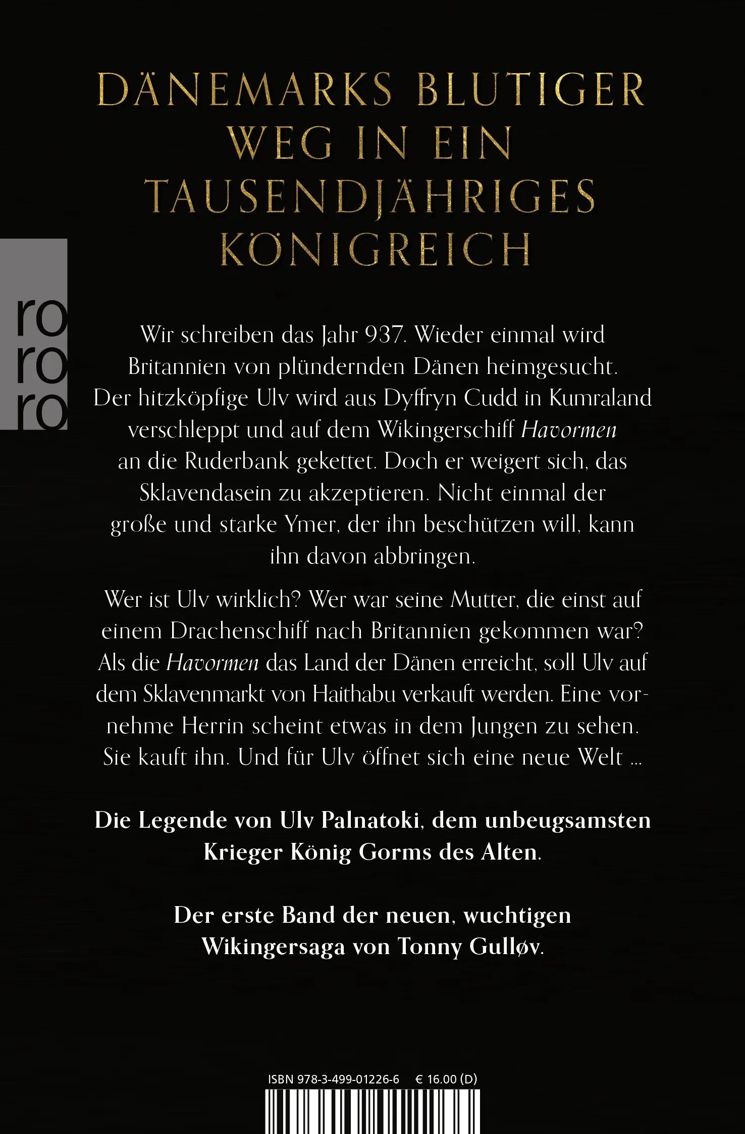 Buchrückseite von 'Millennium Kingdom: Der Wikinger' mit Klappentext - Taschenbuch