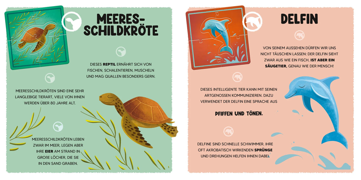 Mini-Puzzle Der Ozean – Ansicht