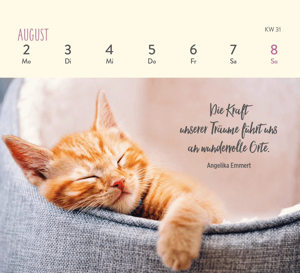 Mini-Wochenkalender 2027: Für Katzenfreunde – Ansicht
