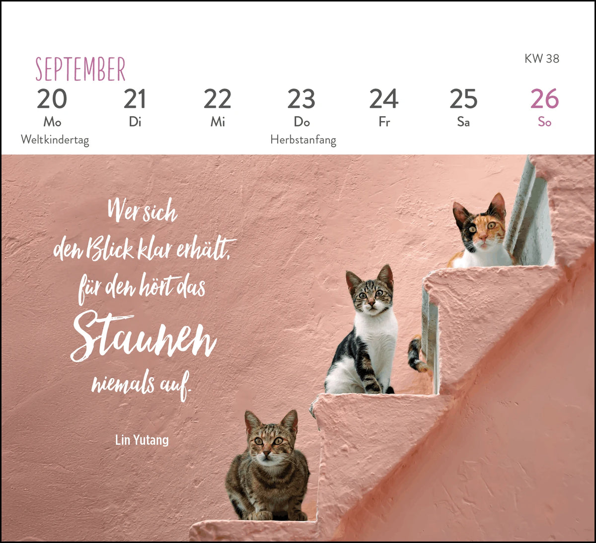 Mini-Wochenkalender 2027: Für Katzenfreunde – Ansicht