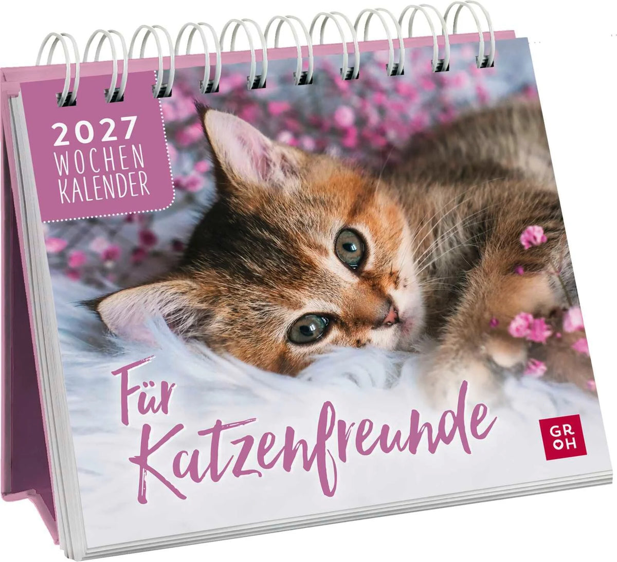 Taschenkalender: Mini-Wochenkalender 2027: Für Katzenfreunde