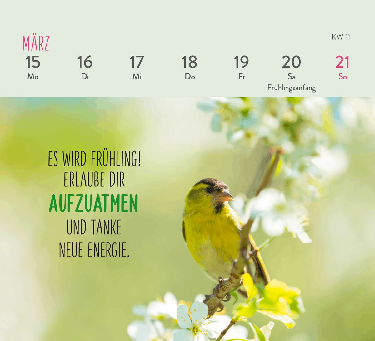 Mini-Wochenkalender 2027: Herzenswünsche für dich – Ansicht