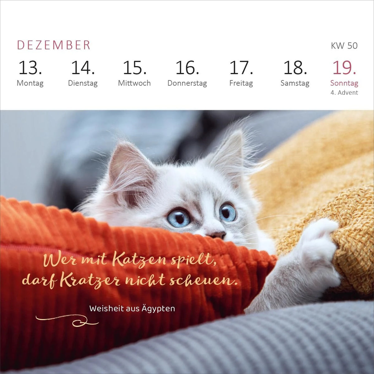 Mini-Wochenkalender Katzenweisheiten 2027 – Ansicht