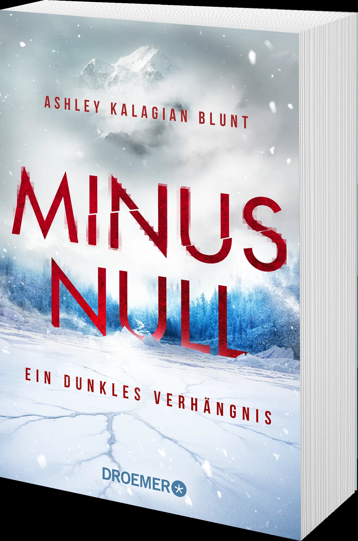 Detailansicht: Minus Null - Ein dunkles Verhängnis (Paperback)