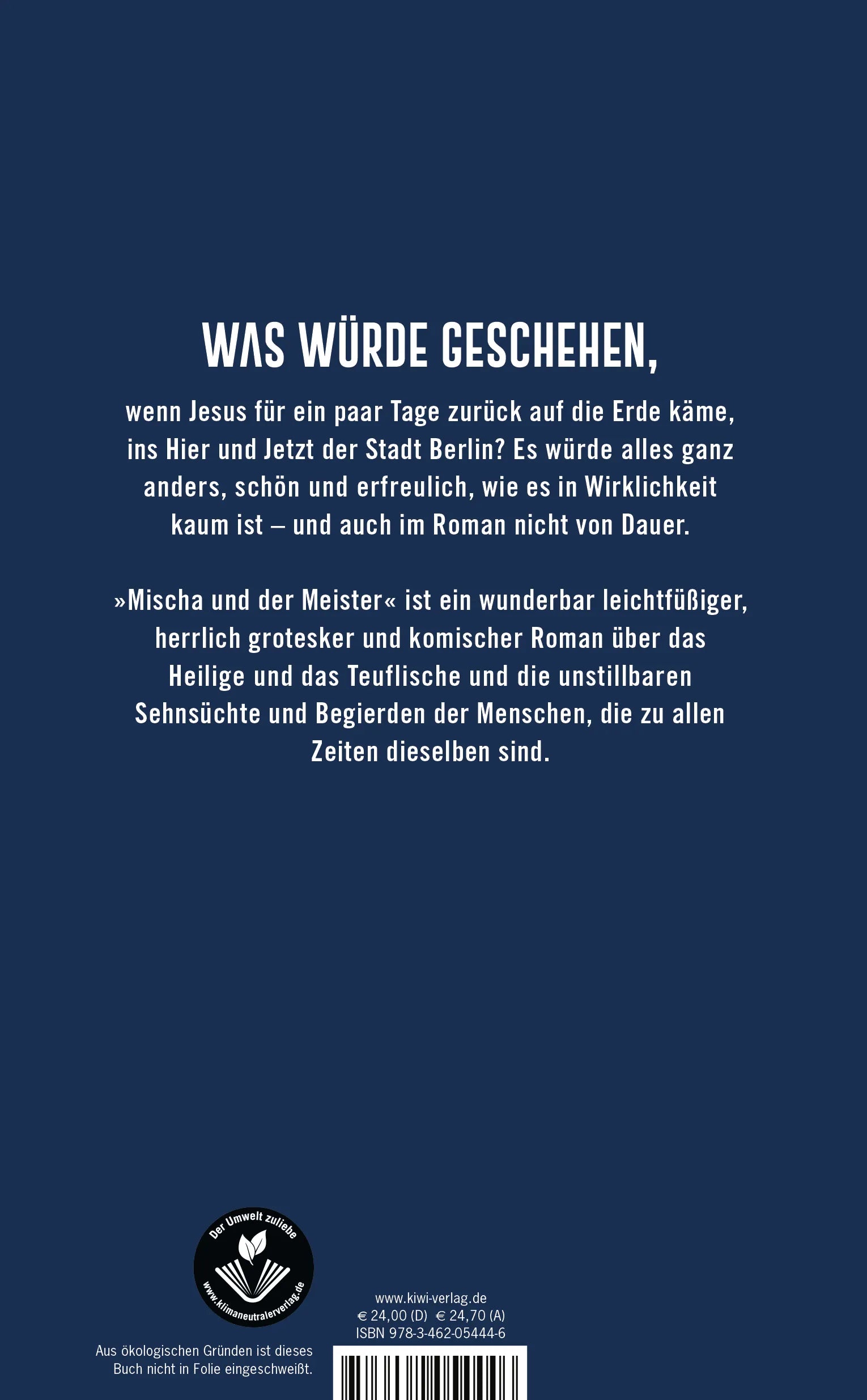 Buchrückseite von 'Mischa und der Meister' mit Klappentext - Gebundene Ausgabe