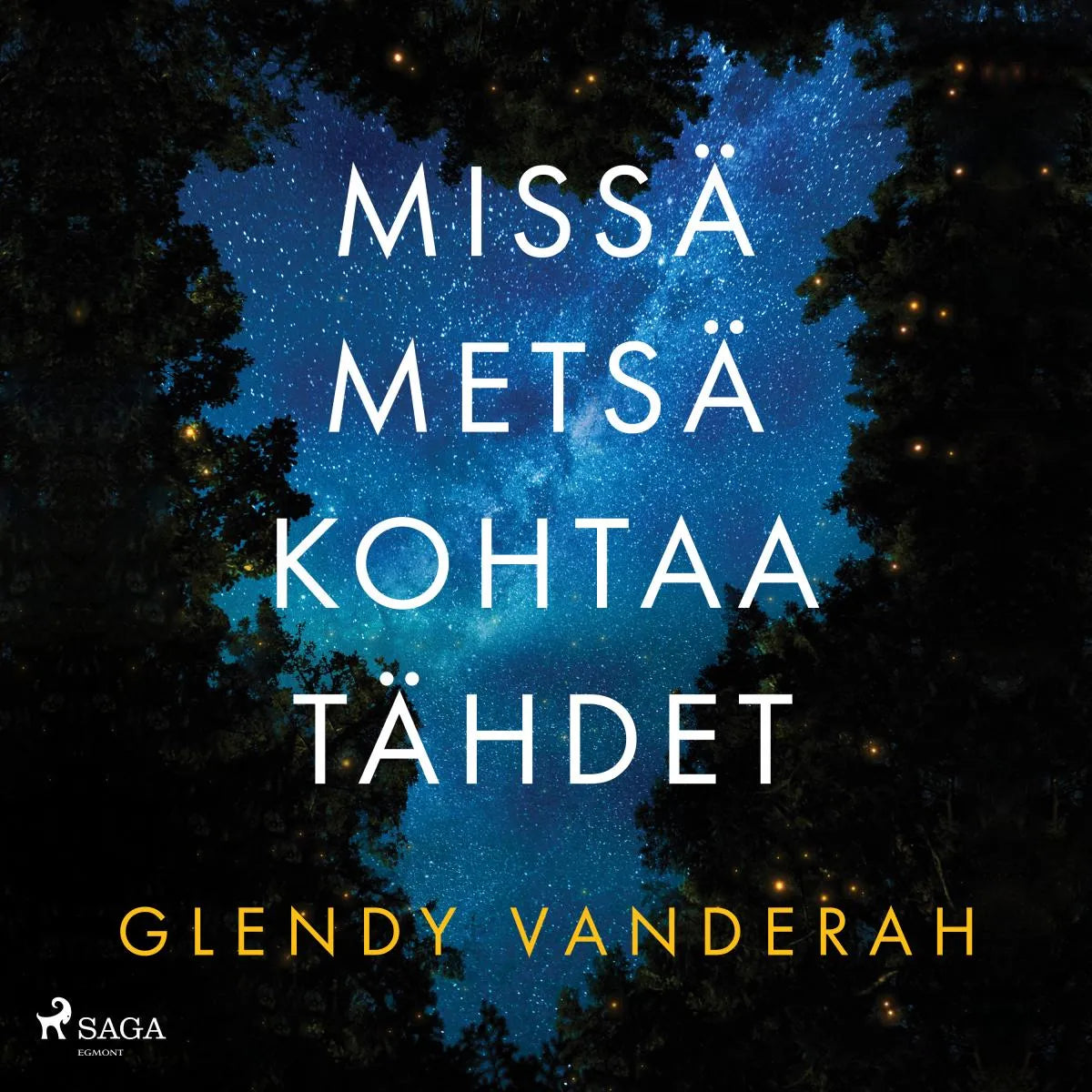 Cover: Missä metsä kohtaa tähdet (Hörbuch Download) von Glendy Vanderah