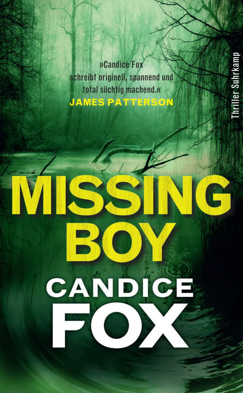 Missing Boy - Thriller
