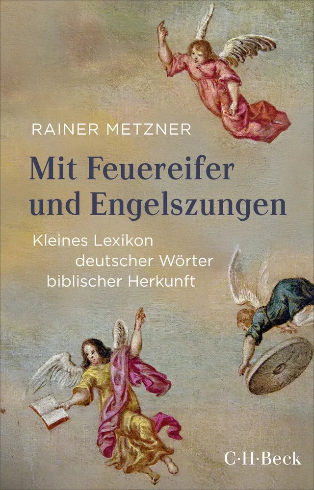 Cover: Mit Feuereifer und Engelszungen (E-Book) von Rainer Metzner