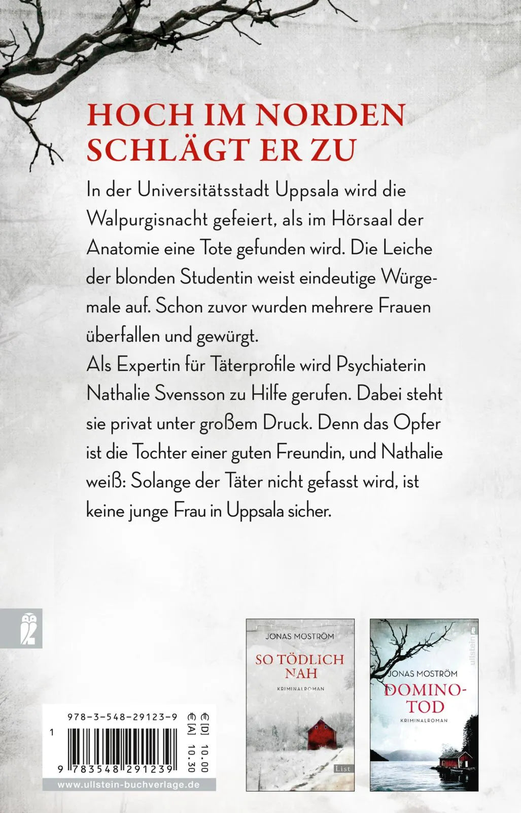 Buchrückseite von 'Mitternachtsmädchen' mit Klappentext - Taschenbuch