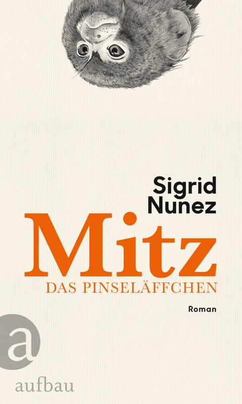 Mitz, das Pinseläffchen