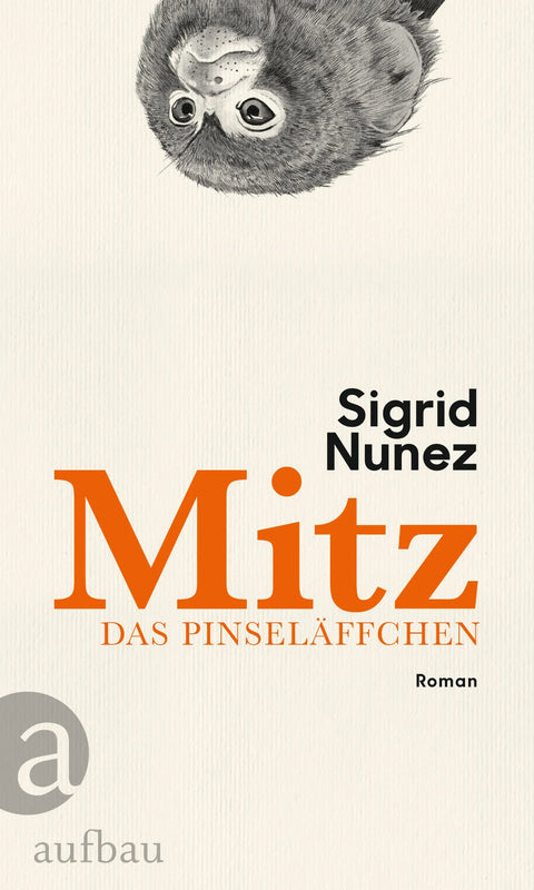 Mitz, das Pinseläffchen