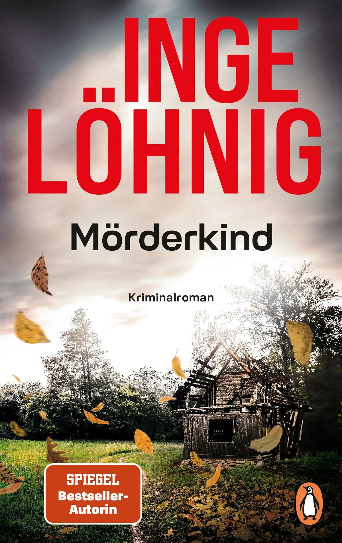 Cover: Mörderkind (Taschenbuch) von Inge Löhnig