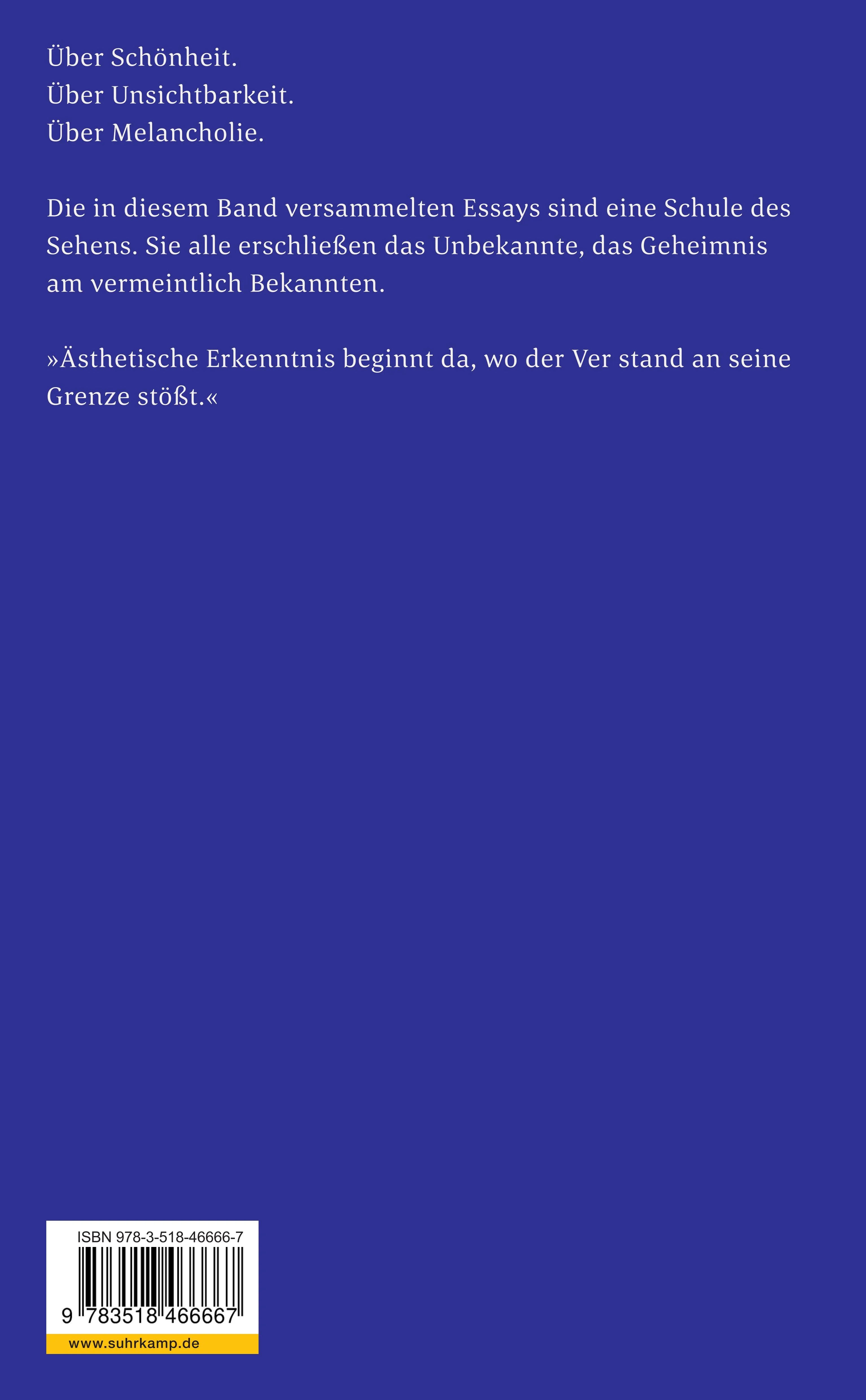 Buchrückseite von 'Mondbetrachtung in mondloser Nacht' mit Klappentext - Taschenbuch