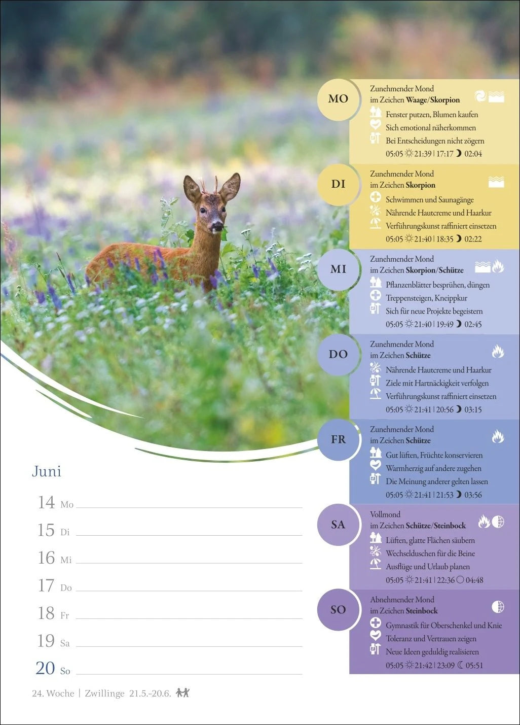 Mondkalender Wochenkalender 2027 - 53 Wochenblätter mit praktischen Tipps für jeden Tag – Ansicht