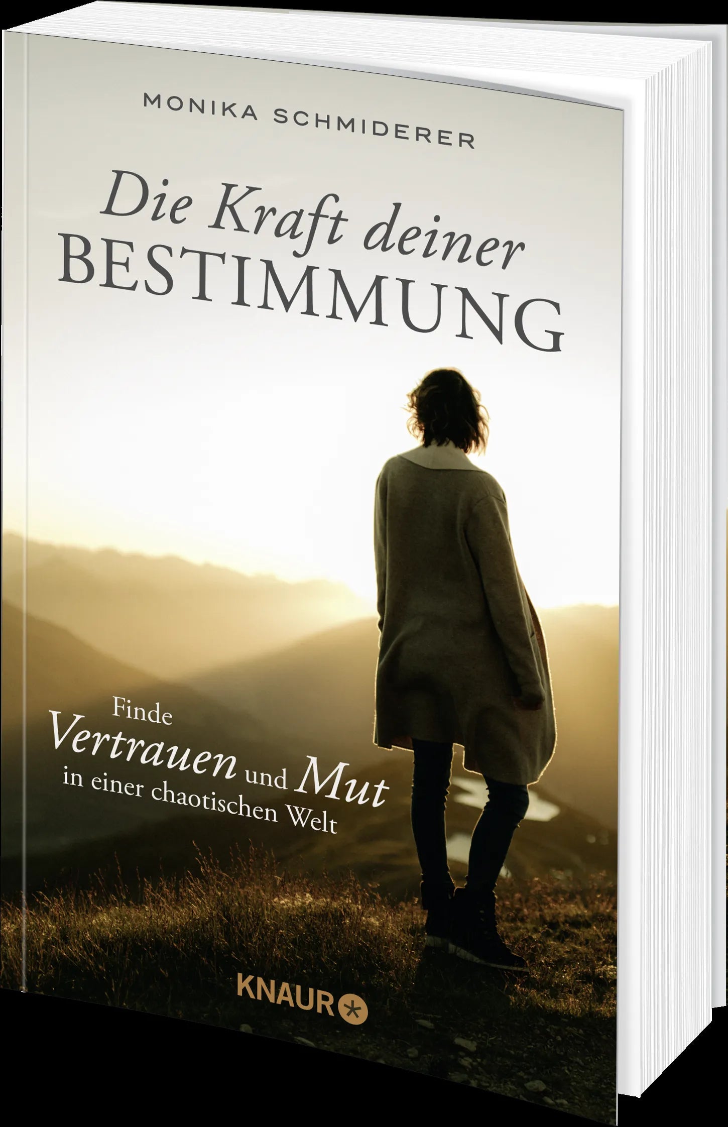 Produktansicht: Die Kraft deiner Bestimmung (Paperback)