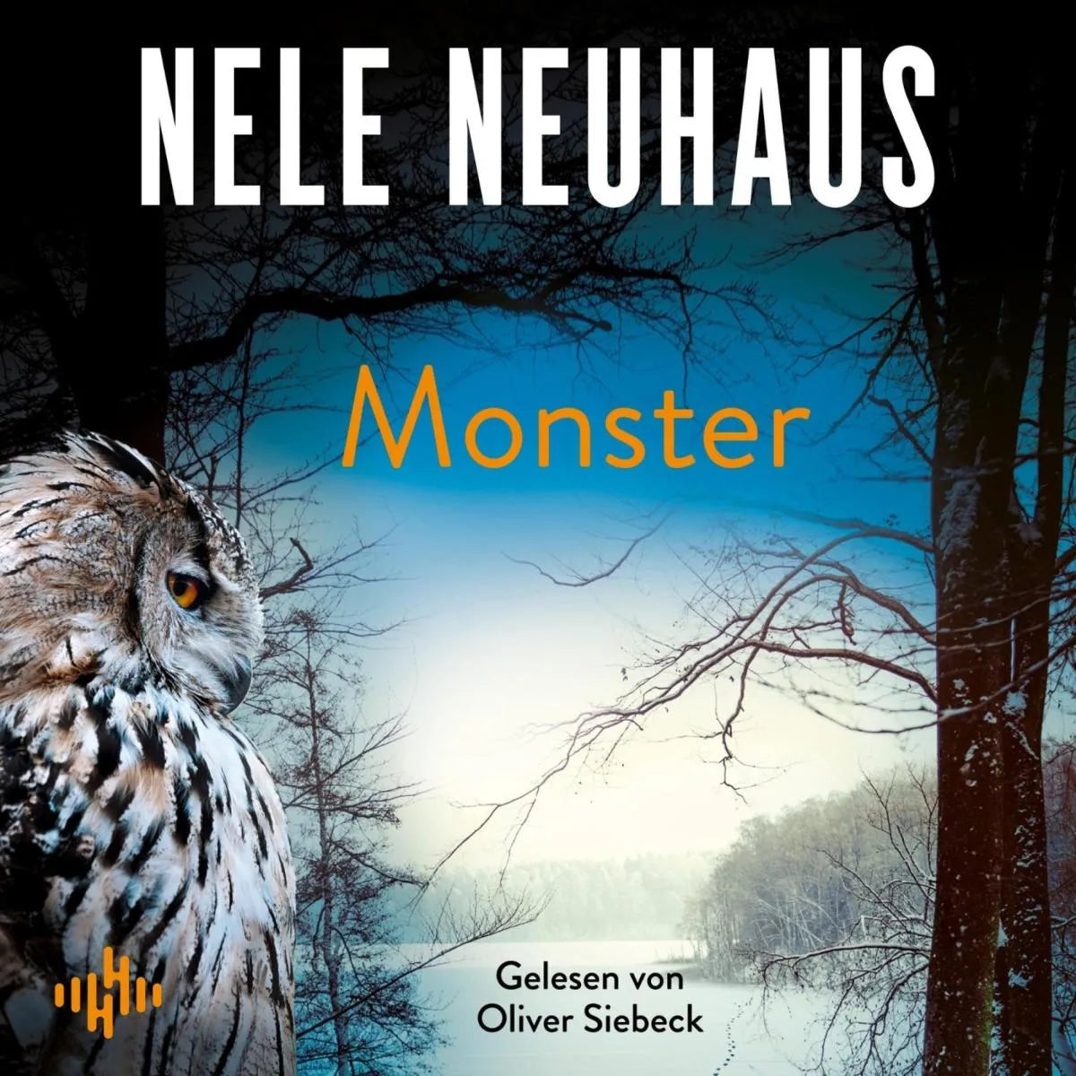 Cover: Monster (Hörbuch Download) von Nele Neuhaus