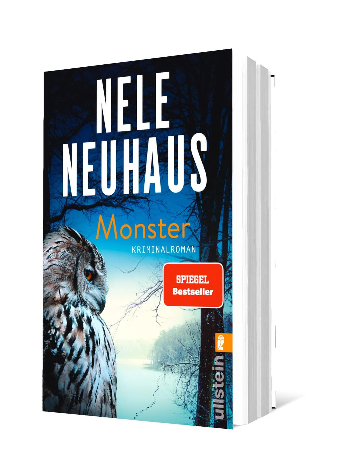 Produktansicht: Monster (Taschenbuch)