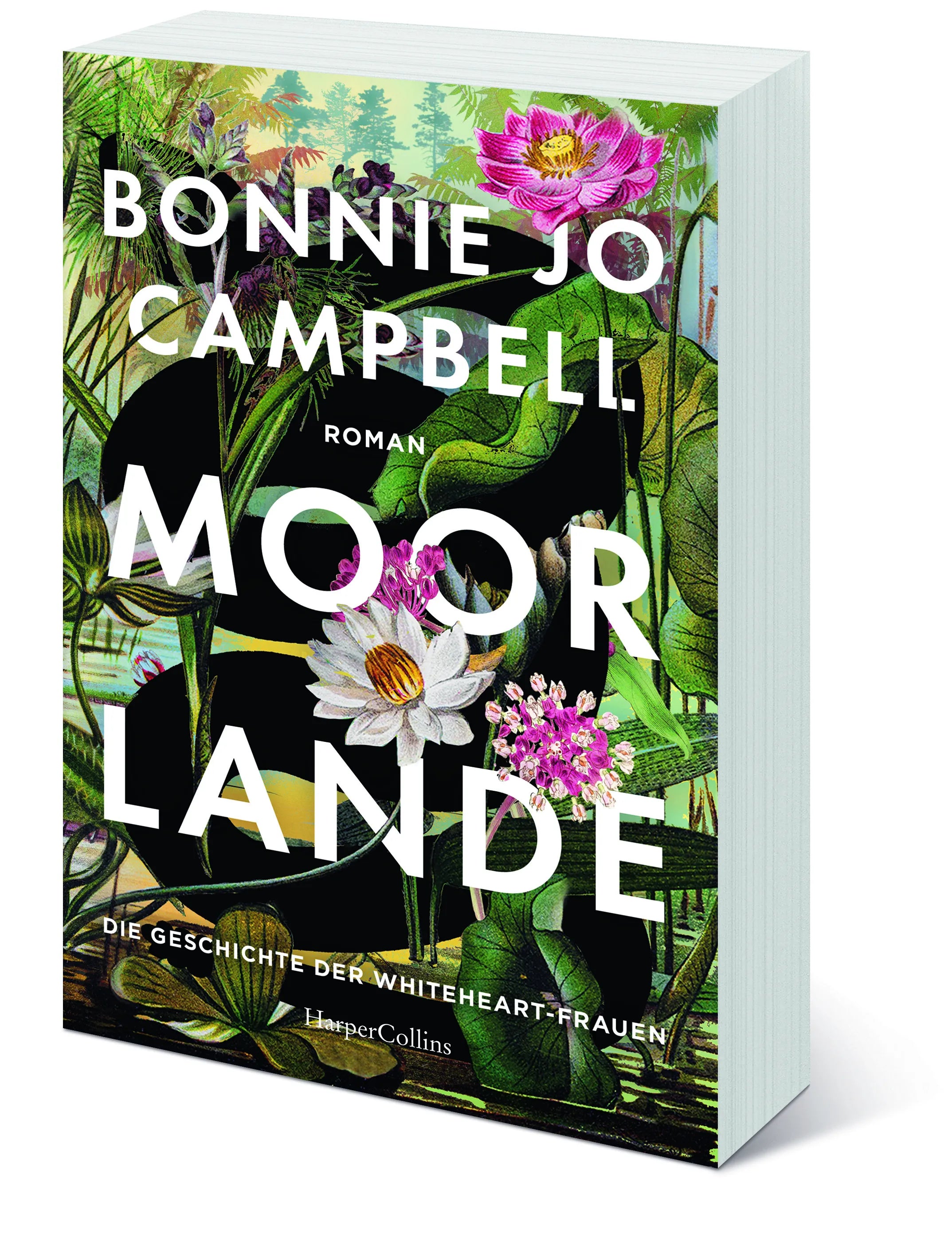 Innenansicht von 'Moorlande' - Taschenbuch