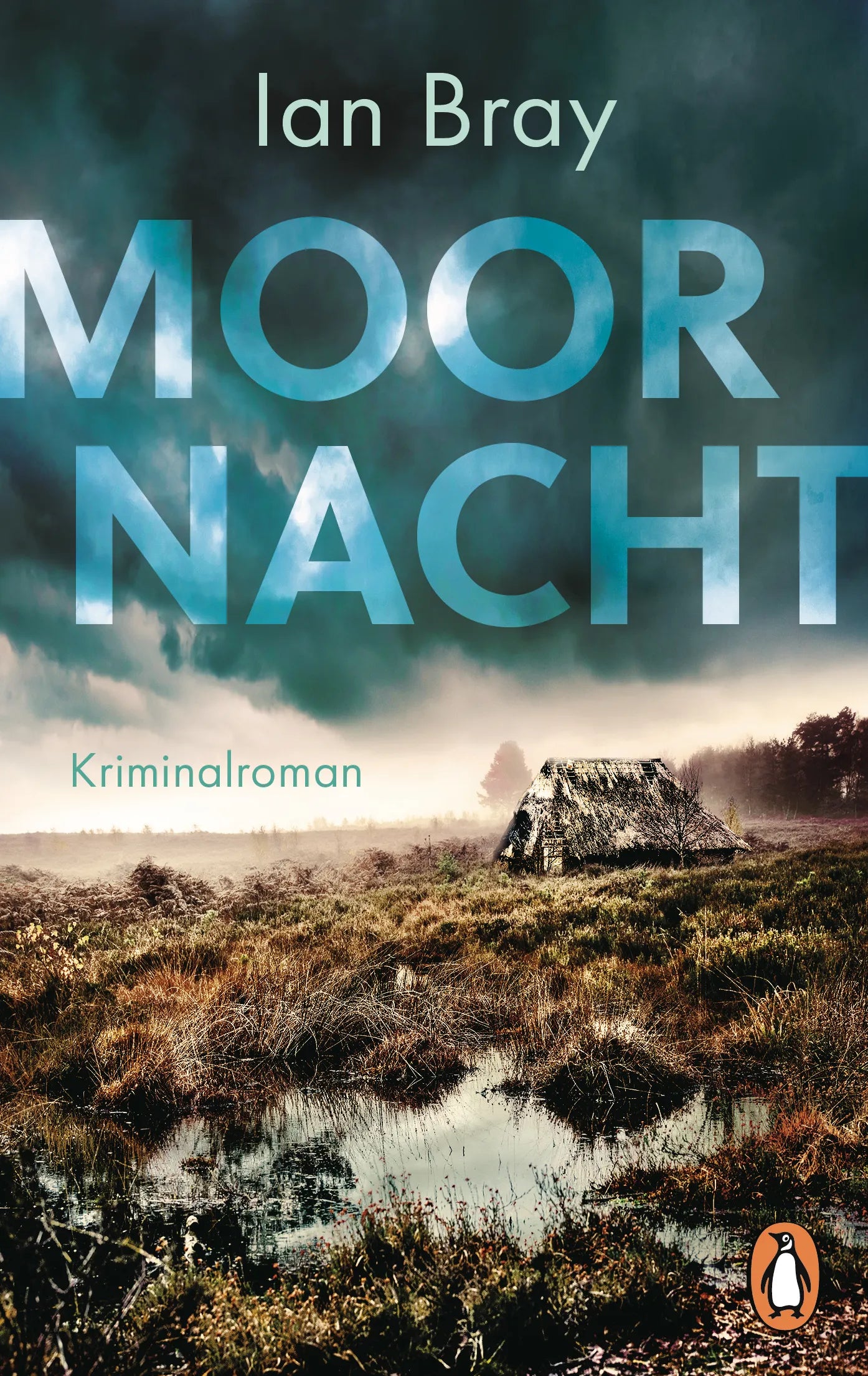 Cover: Moornacht (E-Book) von Ian Bray