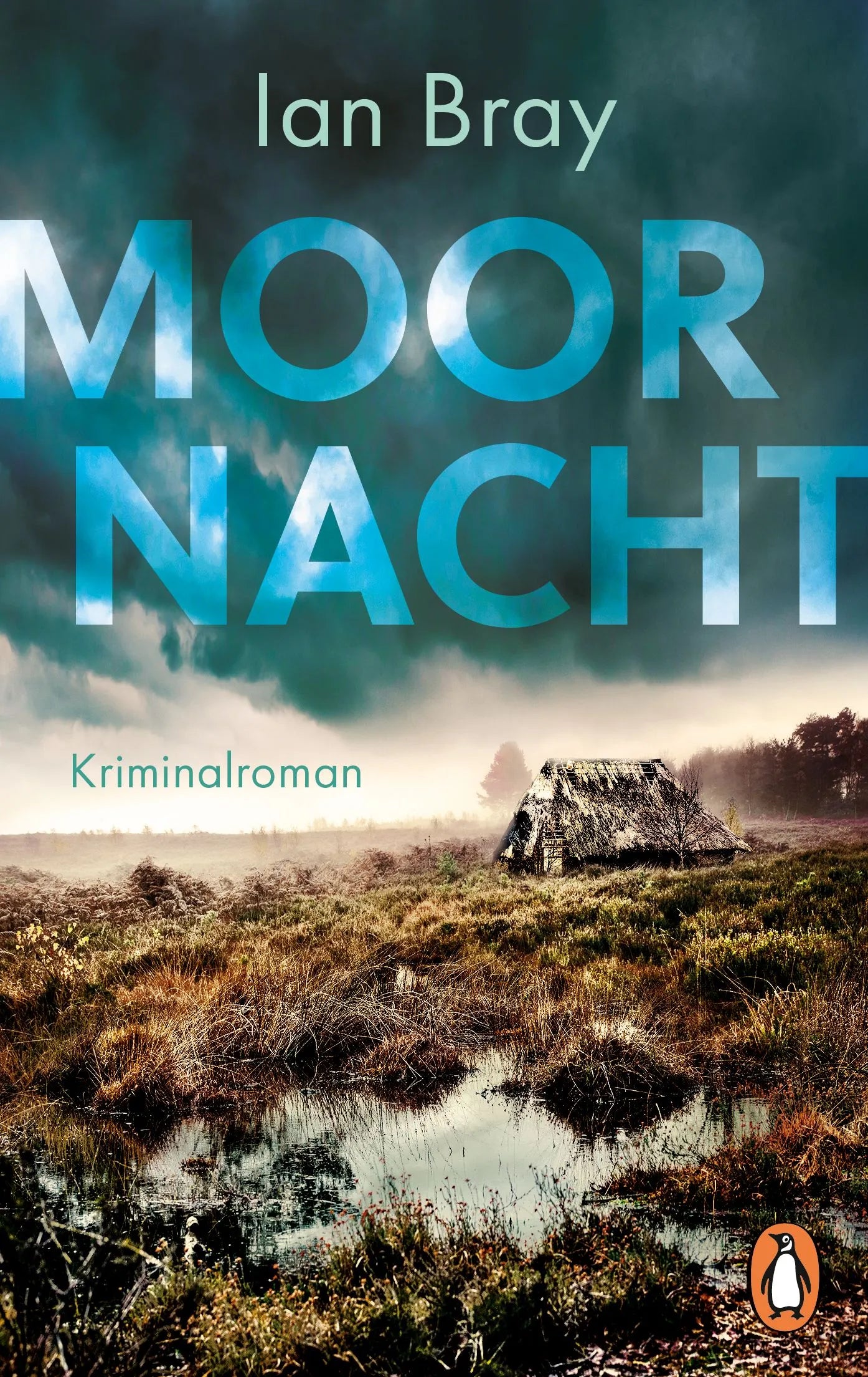 Cover: Moornacht (Taschenbuch) von Ian Bray