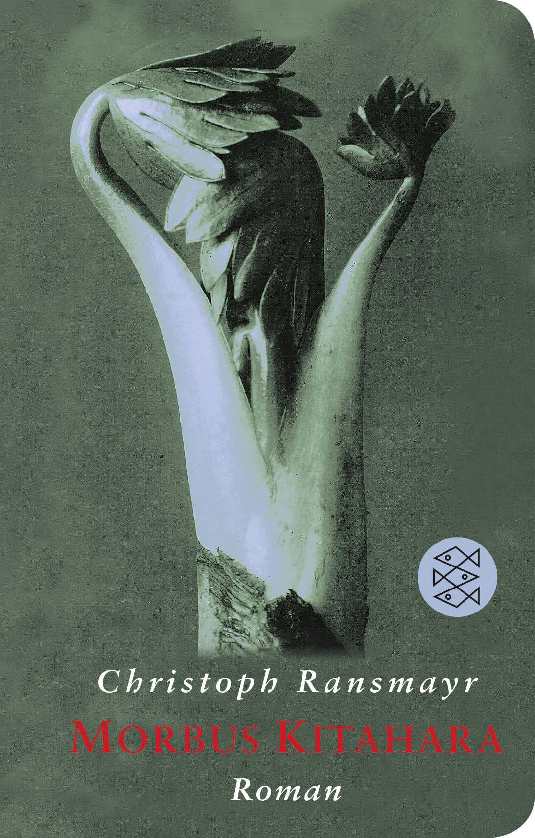 Buchcover von 'Morbus Kitahara' - Gebundene Ausgabe von Christoph Ransmayr
