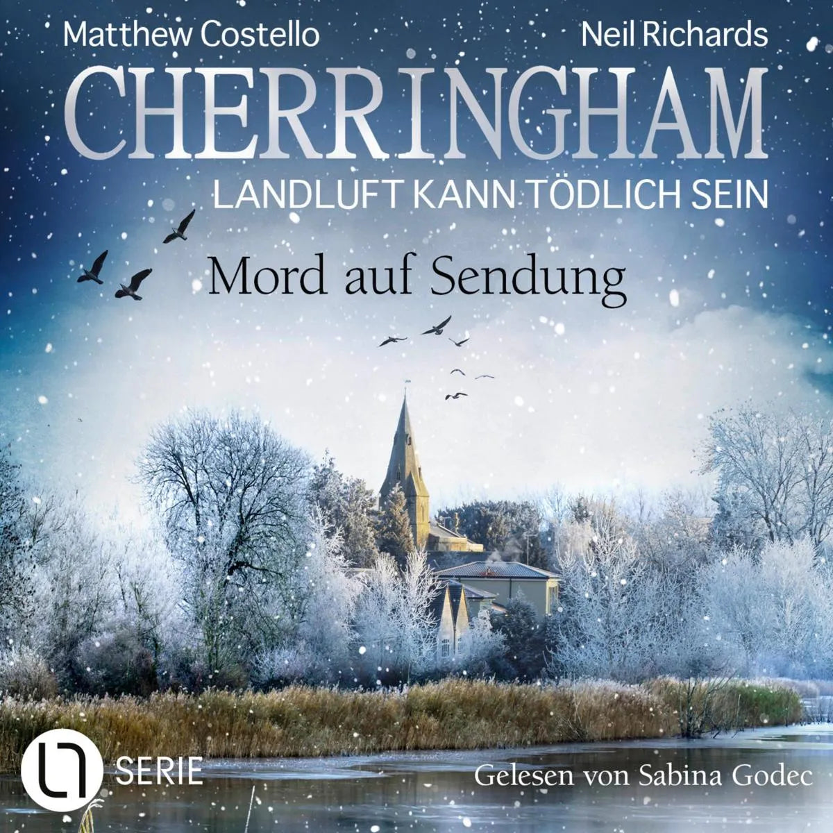 Cover: Mord auf Sendung (Hörbuch Download) von Matthew Costello