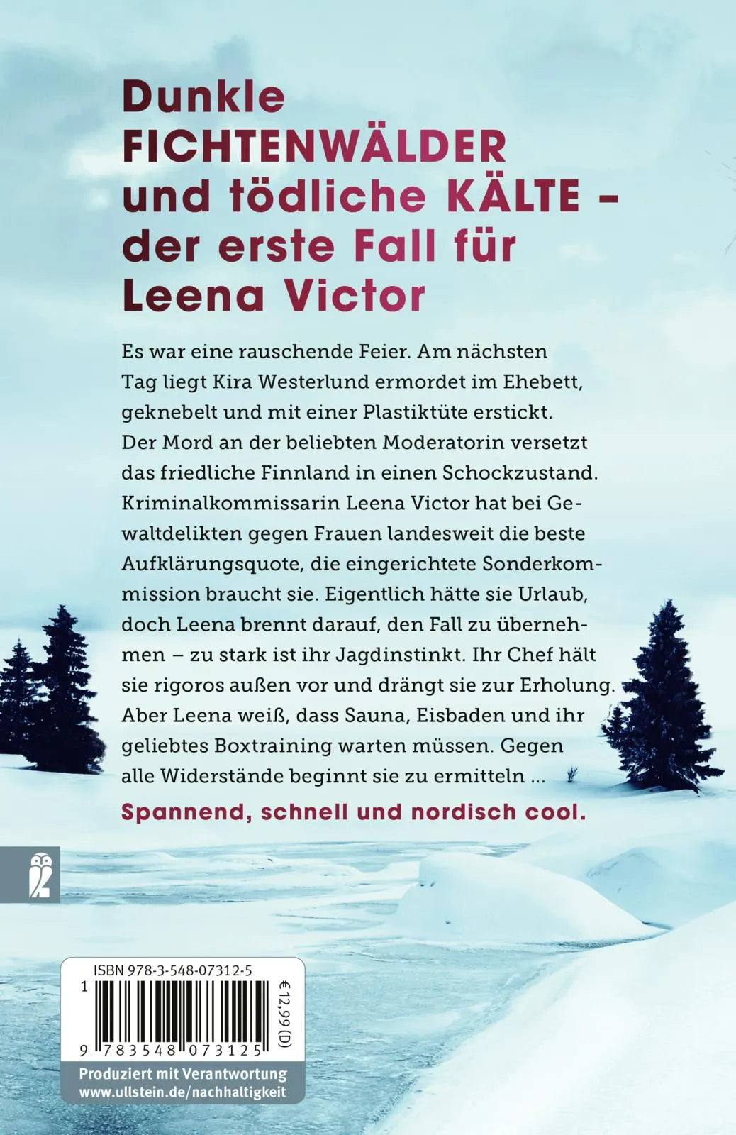 Rückseite: Mord in eiskalter Nacht (Taschenbuch)