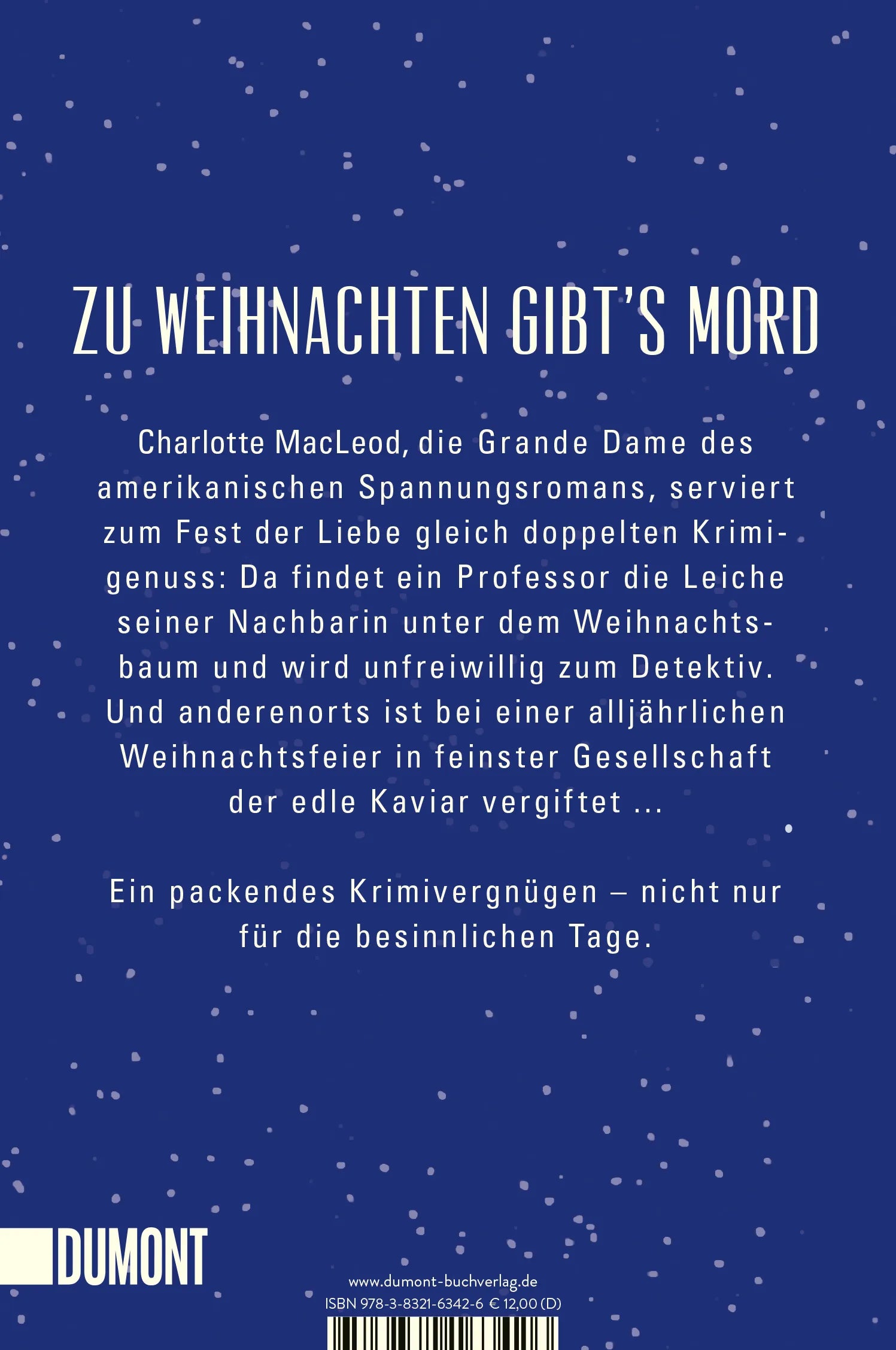 Buchrückseite von 'Mord in stiller Nacht' mit Klappentext - Taschenbuch