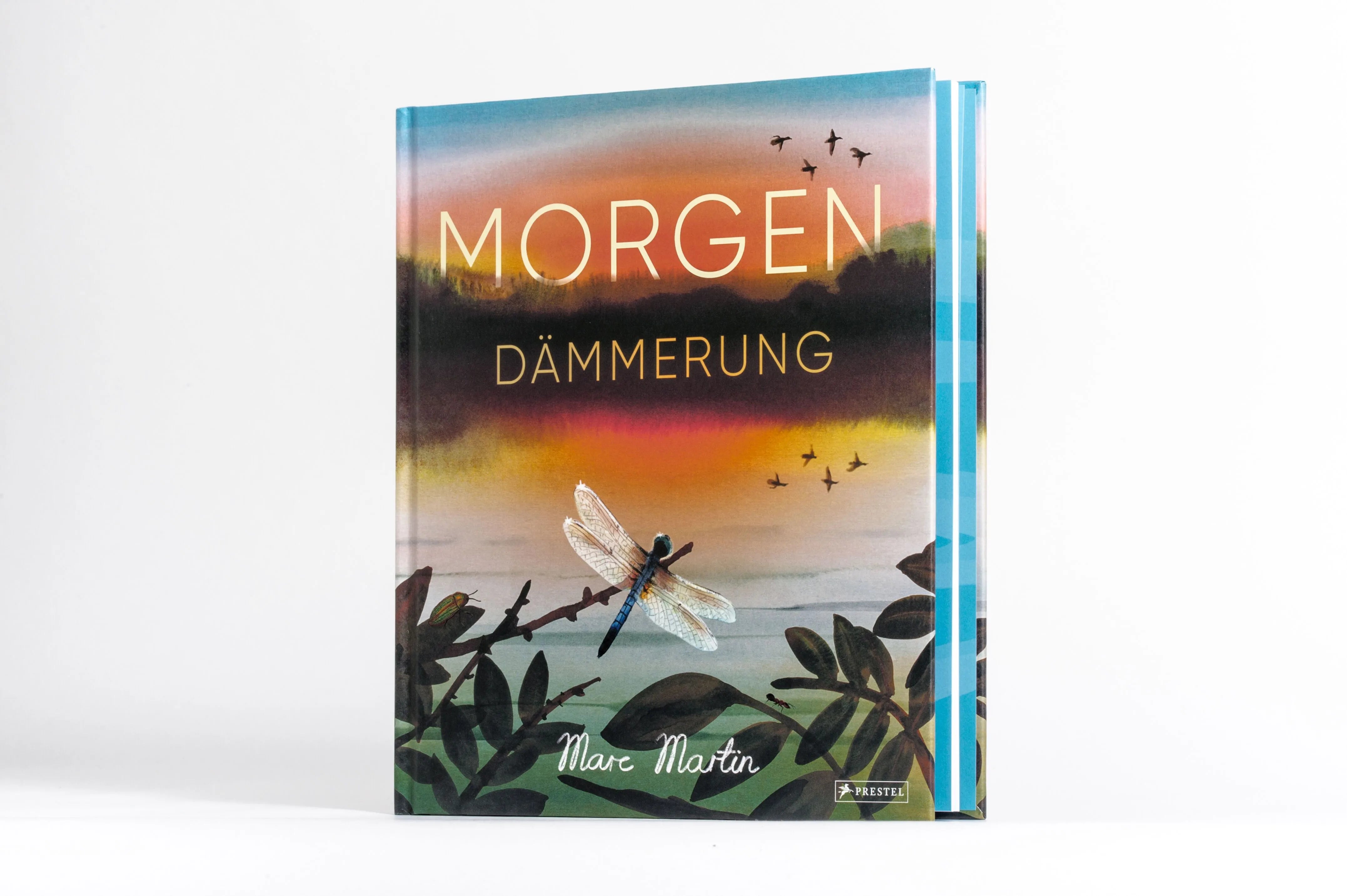 Detailansicht: Morgendämmerung (Hardcover)