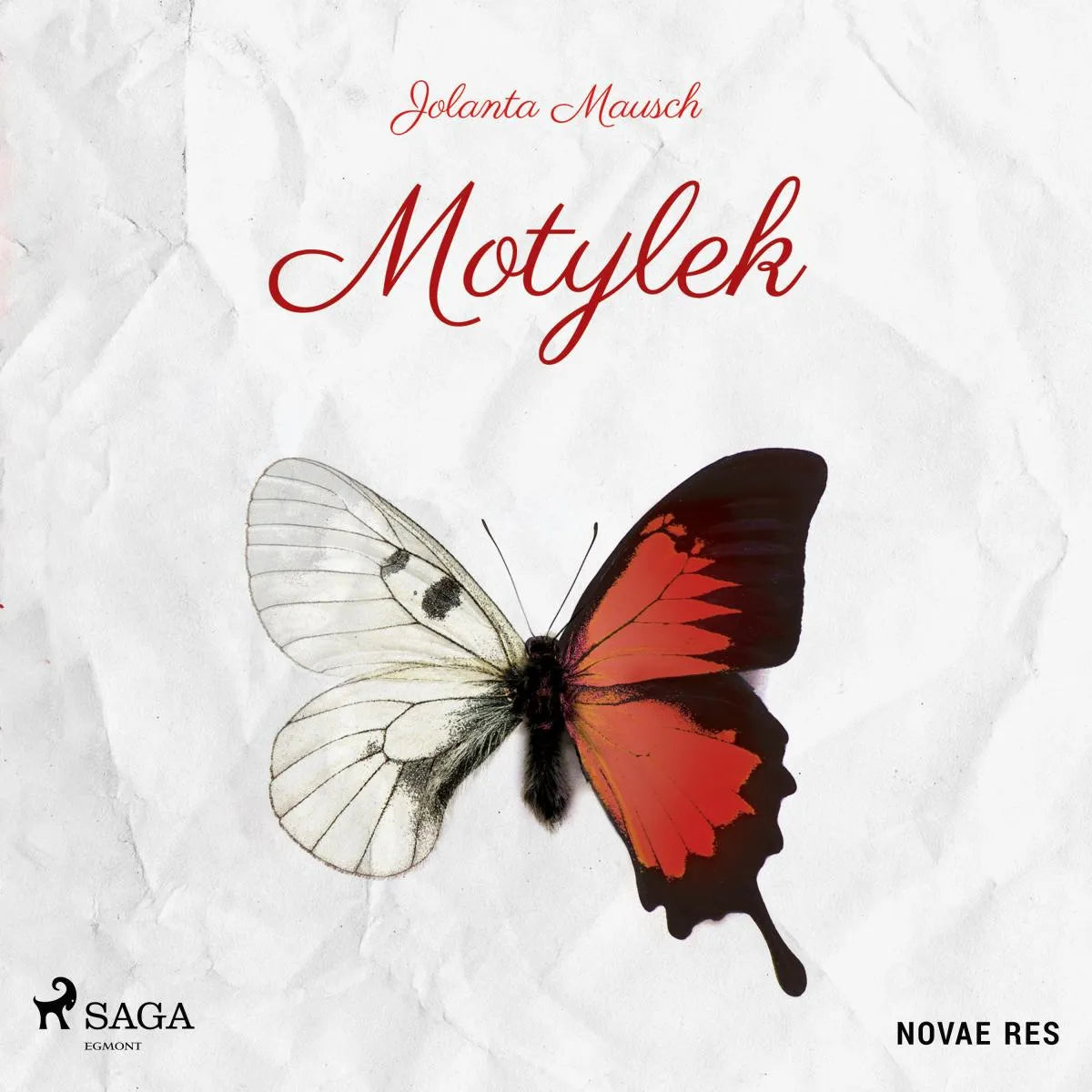 Cover: Motylek (Hörbuch Download) von Jolanta Mausch