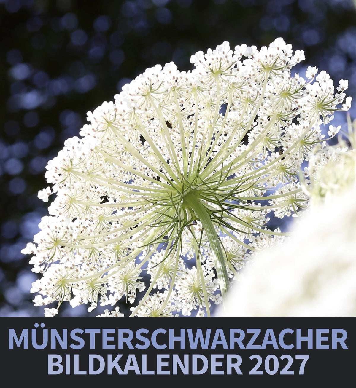 Wandkalender: Münsterschwarzacher Bildkalender 2027