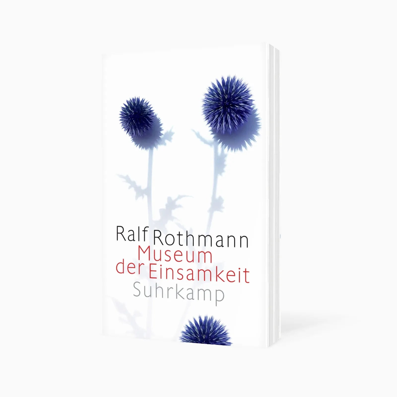 Detailansicht: Museum der Einsamkeit (Taschenbuch)