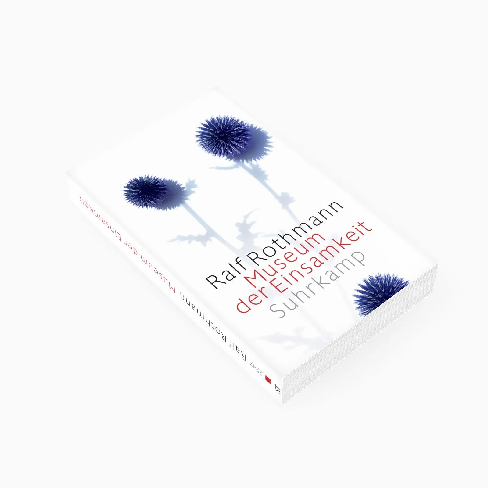 Detailansicht: Museum der Einsamkeit (Taschenbuch)