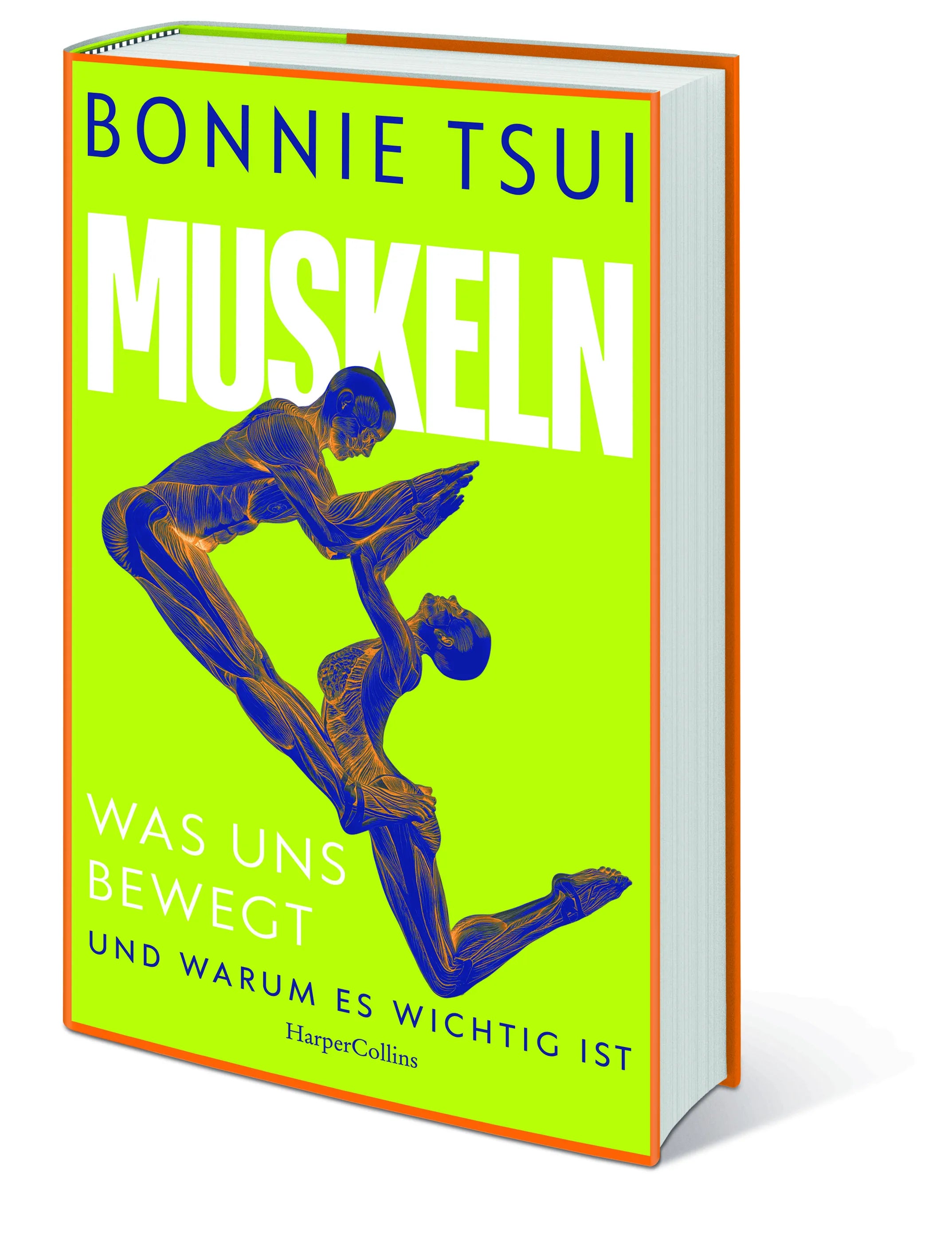 Innenansicht von 'Muskeln. Was uns bewegt – und warum es wichtig ist' - Gebundene Ausgabe