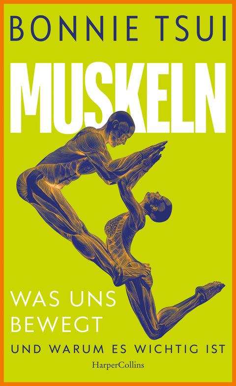 Muskeln. Was uns bewegt – und warum es wichtig ist
