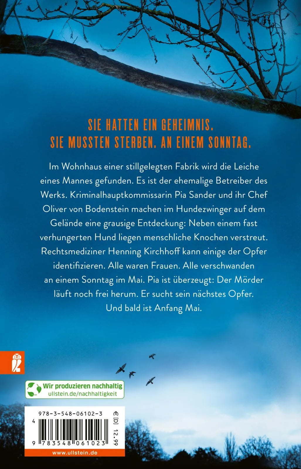 Buchrückseite von 'Muttertag' mit Klappentext - Taschenbuch