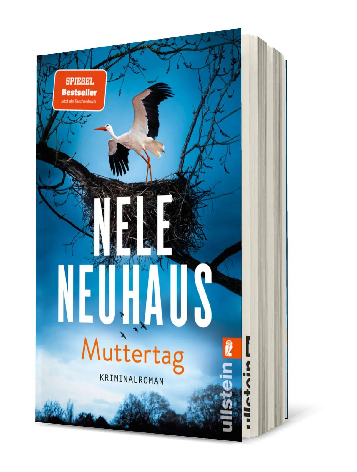 Produktansicht: Muttertag (Taschenbuch)