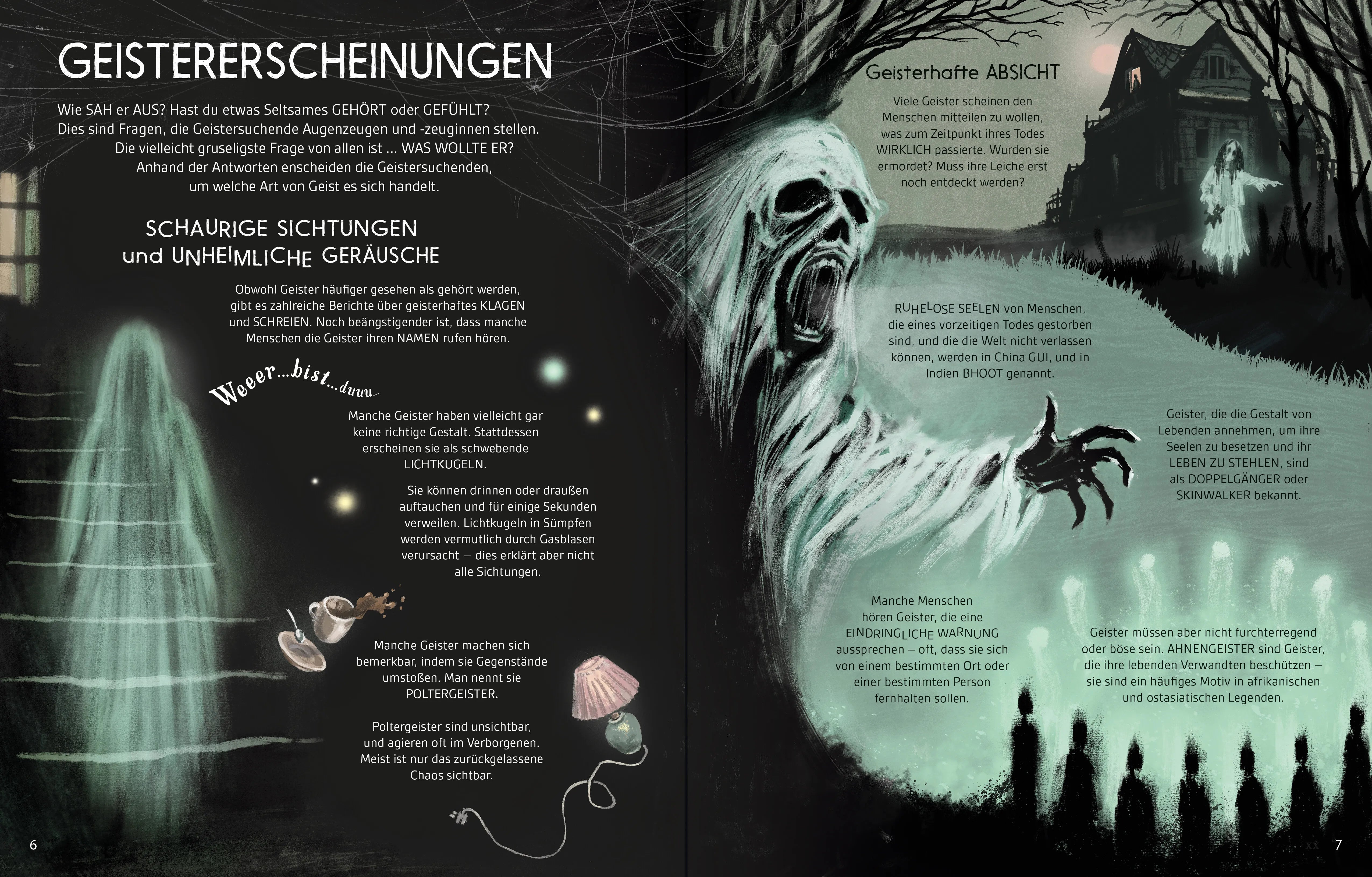 Detailansicht: Mysteriöse Phänomene: Geister (Hardcover)