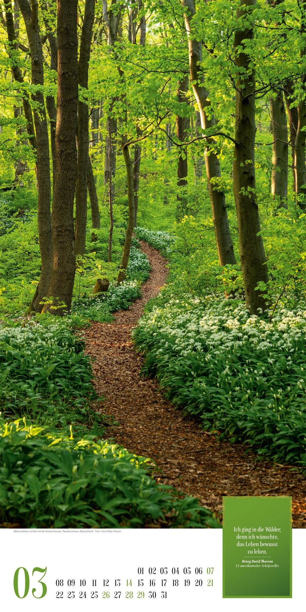 Mythos Wald Literatur-Kalender 2027 – Ansicht