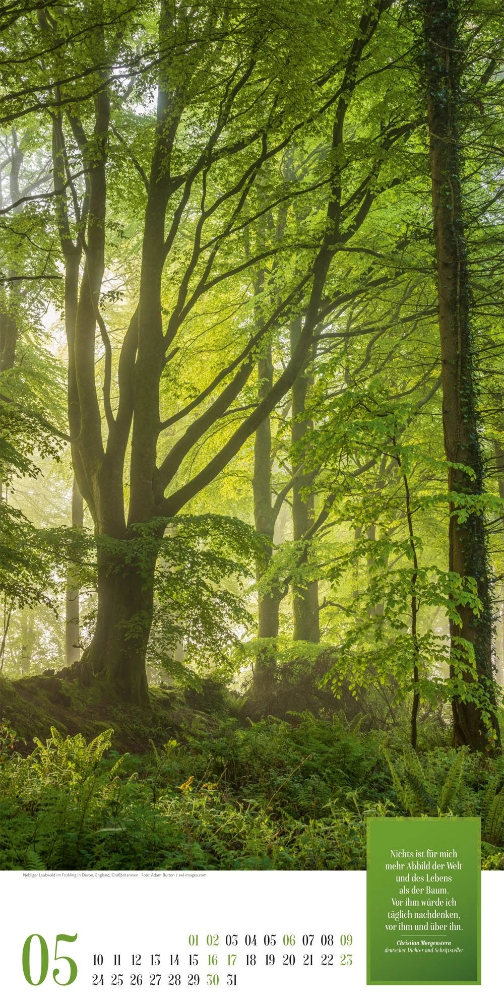 Mythos Wald Literatur-Kalender 2027 – Ansicht