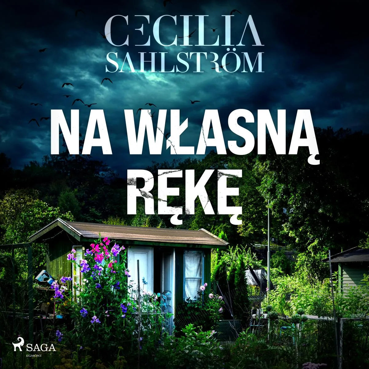 Cover: Na własną rękę (Hörbuch Download) von Cecilia Sahlström