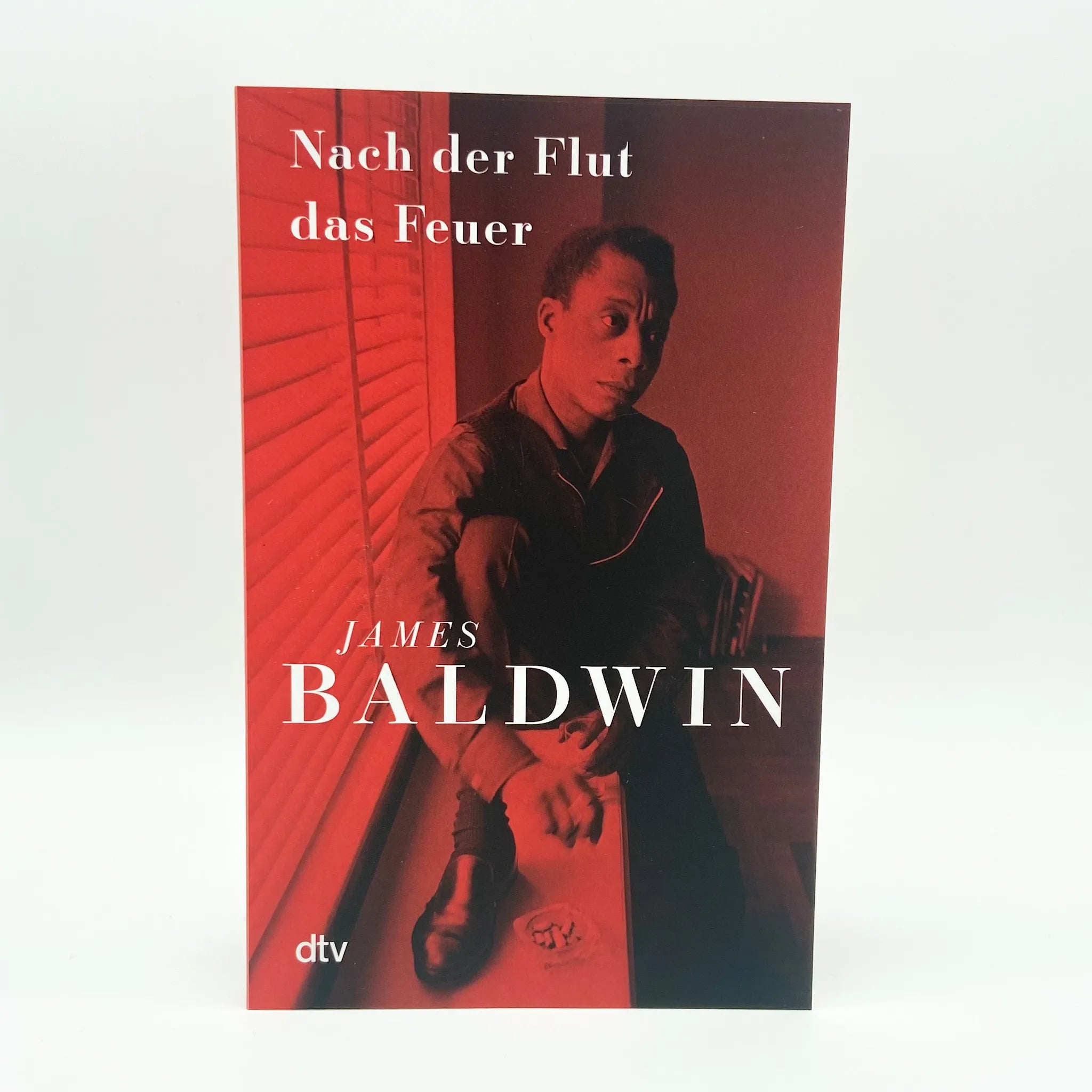 James Baldwin - Nach der Flut das Feuer